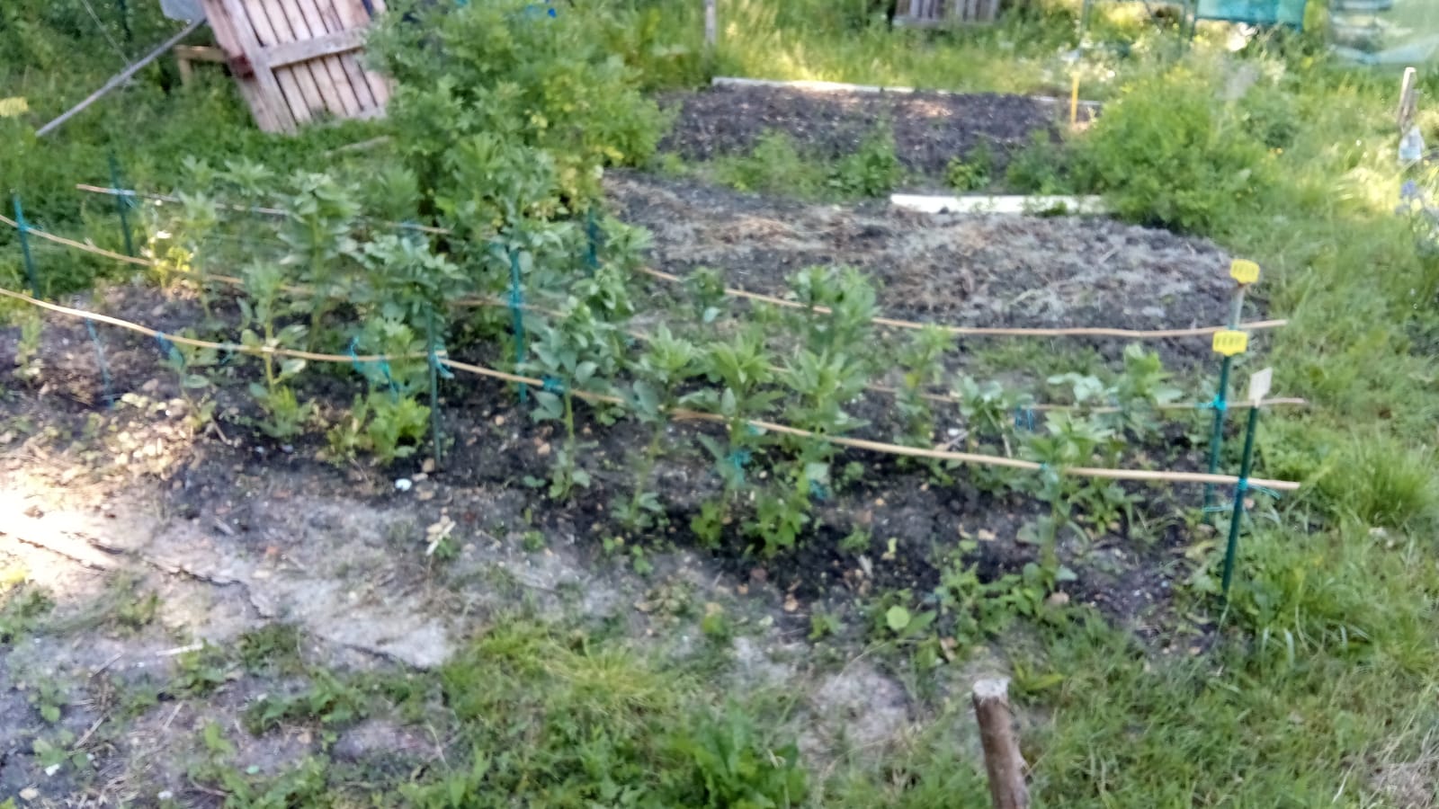 Jardin_18-mai_4