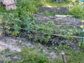 Jardin_18-mai_4